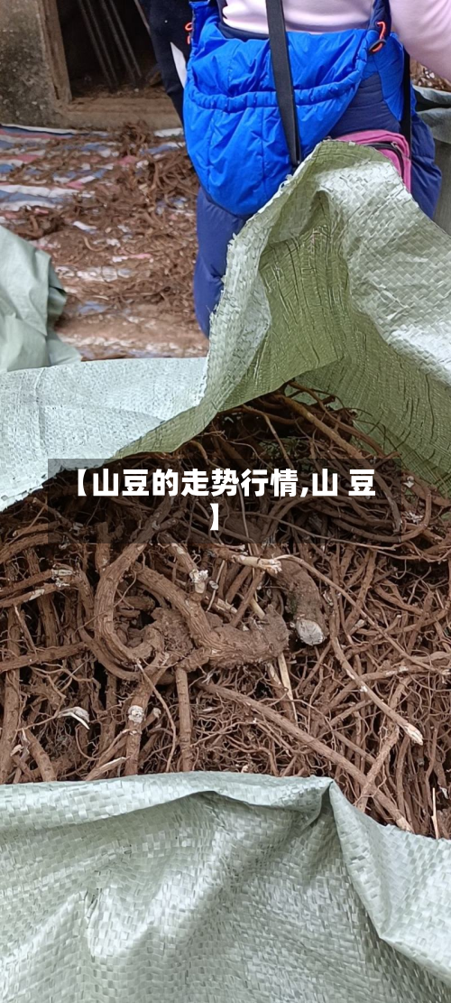 【山豆的走势行情,山 豆】-第2张图片