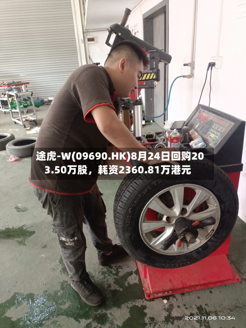 途虎-W(09690.HK)8月24日回购203.50万股，耗资2360.81万港元-第1张图片