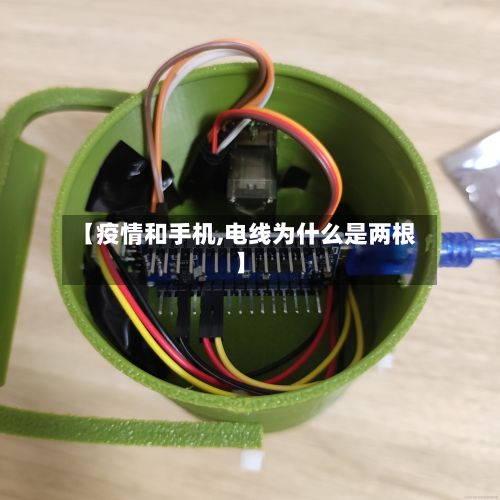 【疫情和手机,电线为什么是两根】-第2张图片
