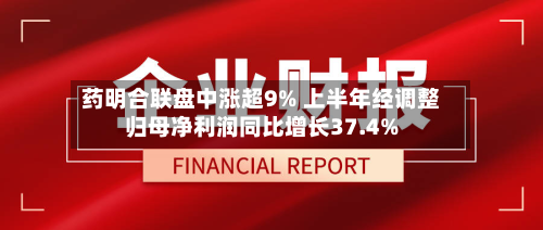 药明合联盘中涨超9% 上半年经调整归母净利润同比增长37.4%-第3张图片