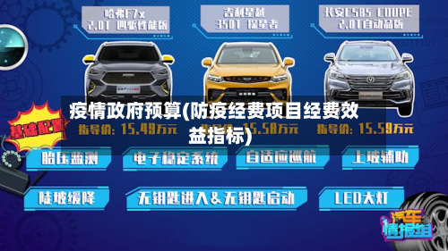 疫情政府预算(防疫经费项目经费效益指标)-第1张图片
