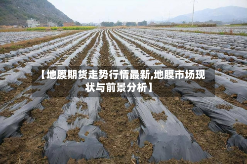 【地膜期货走势行情最新,地膜市场现状与前景分析】-第3张图片