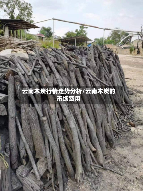 云南木炭行情走势分析/云南木炭的市场费用-第1张图片