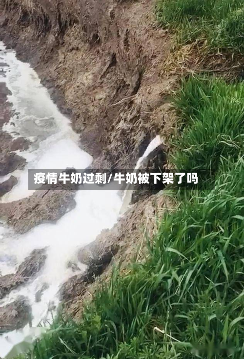 疫情牛奶过剩/牛奶被下架了吗-第2张图片